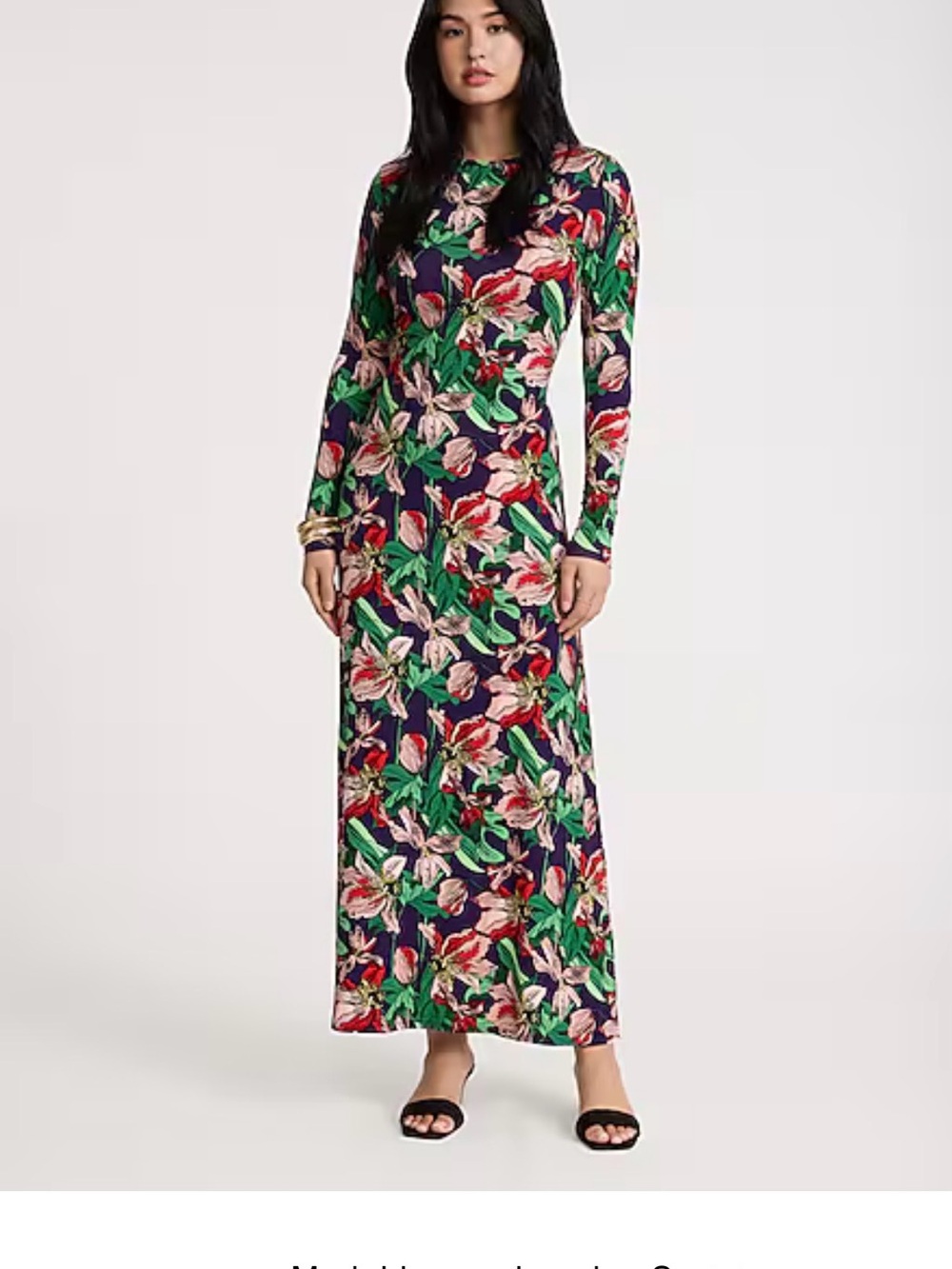 Express Floral Long-Sleeve Maxi Dress in Navy, Green and Pink